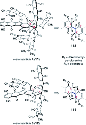 Lomaiviticins A (11) and B (12), and their respective dimeric cores (113, 114).