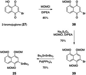 Porco's synthesis of the stannane 25.