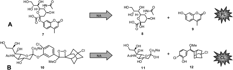 A) Fluorescent NA inhibition assay: MUNANA (7) cleaved by NA to give 8 and 4-methylumbelliferone (9). B) Chemiluminescent NA inhibition assay: NA-Star (10) cleaved by NA to give 11 and 12.