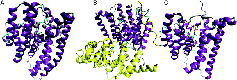 Sketches of the three most recently solved X-ray single crystal structures of sesquiterpene synthases. A: epi-isozizaene (17) synthase from Streptomyces coelicolor A3 (EIZS) in complex with Mg2+3, PPi and benzyltrimethyl ammonium cation (BTAC, 51) (pdb 3KB9);23 B: (+)-δ-cadinene (22) synthase from Gossypium arboreum (GA-DCS) in complex with 3 Mg2+ and 2F-FDP (pdb 3G4F)14 (the catalytically silent class II-like domain is shown in yellow); C: aristolochene (11) synthase from Aspergillus terreus (AT-AS) in complex with FDP (pdb 3BNX).21