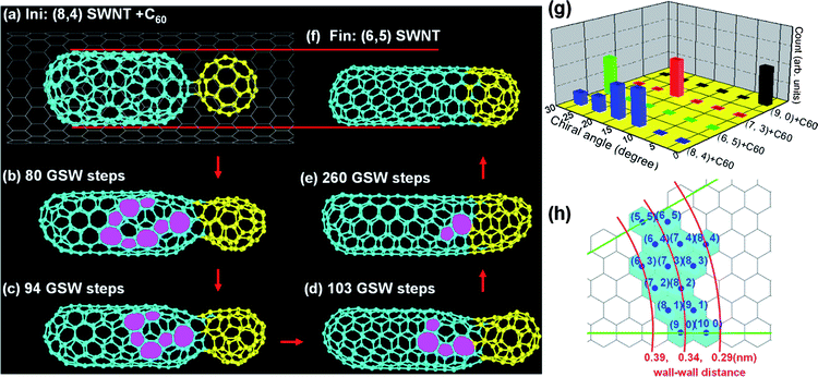 Panels (a–f) are snapshots taken in the fusion of a (8,4) C180 inner tube and a C60. The final inner tube (f) has smaller diameter than that of the original one (a). (g) The chiral-angle distributions of the inner tubes which are formed in the fusion of different C180 inner tubes with C60. (h) The wall–wall distances between various inner tubes and the outer (18,0) tube.