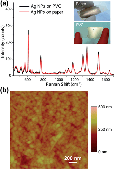 
          SERS performance and characterization of the substrate constructed on other solid supports. (a) SERS spectra of 10−7 M R6G on prepared substrates using paper tape (red curve) and PVC plate (black curve) as solid supports. Insets: optical photos of the substrates constructed on paper tape (up) and PVC plate (bottom). (b) An AFM image of the prepared substrate constructed on PVC plate.