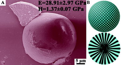 (A) SEM image and (B) schematic graphic of the high magnesium calcite microspheres in which nanorod crystals (black part in B) are vertically aligned within the cohesive gelatin matrices (blue part in B). Such a bio-inspired structure gives rise to remarkable mechanical properties (E = 28.91 ± 2.97 GPa; H = 1.37 ± 0.07 GPa) rivalling the central stereo of the Paracentrotus. lividus spine skeleton. Reproduced with permission from ref. 102. Copyright 2011, the Royal Society of Chemistry.