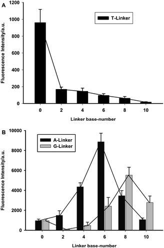 Effect of different linkers on the fluorescence of synthesized AgNCs. (A) linkers of different numbers of thymine; (B) linkers of different numbers of adenine (black) and guanine (grey).