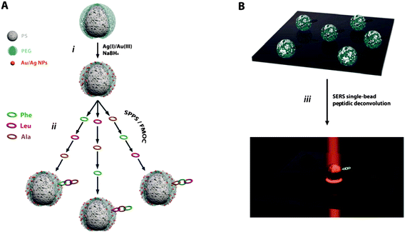 (A) Experimental strategy for the fabrication of the hybrid TG–NP bead material and its use as a support for solid-phase peptide synthesis. (B) Spectroscopy strategy for the on-bead peptidic deconvolution and classification using SERS.