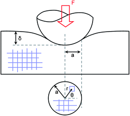 Schematic of the indentation of a flat surface with a spherical indenter. The indentation depth, δ, and the contact radius, a, are illustrated. According to eqn (2) in this case the effective radius of contact bodies, R, is equal to the radius of the spherical indenter since the radius of the flat substrate is equal to infinity. The bottom part shows the top view of the contact area. The blue mesh on the contact area and in the substrate indicates the meshing step to obtain the local pressure on the surface, and the stress filed in the substrate, respectively.
