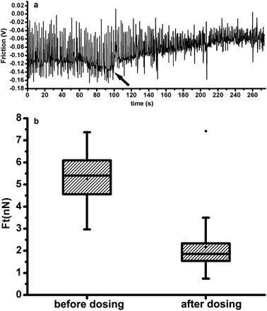 (a) Contraction of a cardiomyocyte, before and after the addition of ibutilide, as a function of time. (b) Box chart showing the distributions of contraction force before and after the addition of ibutilide.