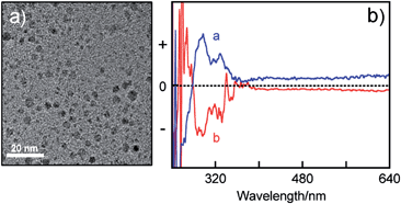 (a) TEM image of (R)-1-Fe3O4 NPs. (b) CD spectra of (R)-1-Fe3O4 NPs (a: blue) and (S)-1-Fe3O4 NPs (b: red) in CHCl3.