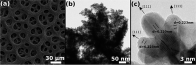 (a) SEM, (b) TEM, and (c) HR-TEM images of the nanoporous palladium obtained from the solution containing 15 mM of Pd2+.