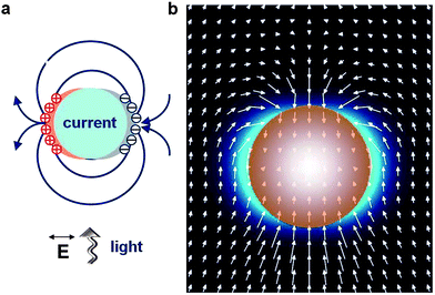 Plasmonic nanoantenna concept. (a) Collective oscillations of conduction electrons in a metal nanoparticle excited by propagating light create regions of positive and negative surface charges, resulting in the generation of secondary dipole fields around the particle. (b) Optical powerflow around a noble-metal nanosphere at the frequency of its dipole LSP resonance shows strong deflection of incident light towards the particle. Hereafter, the arrows point into the direction of the local powerflow; the length of each arrow is proportional to the local value of the Poynting vector amplitude.