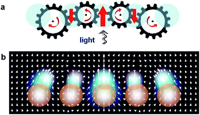 Vortex nanogear transmission concept. (a) VNT captures incoming light and twists it around phase singularities of the electromagnetic field ‘pinned’ to a plasmonic nanostructure. Coupled optical vortices—areas of circular motion of light flux—are pictured as gears made of light arranged in a transmission-like sequence. (b) Optical powerflow in the VNT composed of five noble-metal nanosphere dimers features several coupled optical vortices with alternating directions of rotation. The vector field of the powerflow is shown in the plane cutting through the centers of the dimers comprising the VNT.