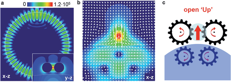 Optoplasmonic vortex nanogate. (a) E-field intensity distribution in the optoplasmonic structure composed of an Au nanoparticle dimer (nanosphere diameters 150 nm, dimer gap 25 nm) and a 5.6 μm diameter polystyrene microsphere. The structure is excited by an y-polarized plane wave at the wavelength of its TE27,1 photonic–plasmonic resonance. The inset shows the on-resonance intensity distribution in the dimer gap. (b) Poynting vector intensity |S| maps and optical powerflow through the dimer gap (in the x–z plane at y = 0) at the frequency of the photonic–plasmonic mode shown in (a). (c) Schematic of the vortex-operated nanogate in the ‘open Up’ position corresponding to the powerflow pattern in (b). Adapted from ref. 73.