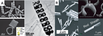 (A) SEM images of striped Ag–Ni nanorods prepared by electrochemical deposition and bimetallic solid nanorings, and tilted view TEM image of nanoring arrays on the SiO2 backing layer. (B) SEM images of Au rod–sheath heteronanostructures (1.6 ± 0.2 μm length nanorod and 1.4 ± 0.3 μm sheath). The inset of panel B shows the thickness of the sheath (top) and an individual rod–sheath heteronanostructure (bottom). (Reprinted with permission from ref. 58 and 59, Liusman et al., ACS Nano, 2010, 4, 7676 and Chen et al., ACS Nano, 2009, 3, 87; Copyright The American Chemical Society.)