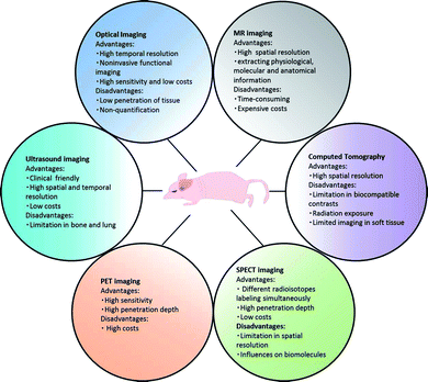 Advantages and disadvantages of different molecular imaging techniques.