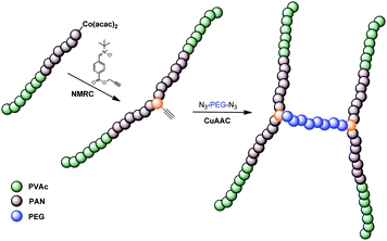 Schematic representation of the synthesis of H-shaped polymersvia combination of CMRP and NMRC followed by CuAACconjugation.