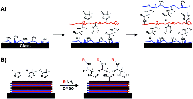 Schematic illustration showing the ‘reactive’ layer-by-layer assembly (A) and subsequent chemical functionalization (B) of polymer multilayers fabricated using azlactone-functionalized polymers. (A) Branched poly(ethylene imine) (PEI) is first adsorbed onto a substrate followed by treatment with a solution of an azlactone-containing polymer. Repetition of this process results in layer-by-layer buildup of covalently crosslinked multilayers containing residual azlactone functionality. (B) A broad range of surface functionality can be imparted to the films post-fabrication by treatment of residual azlactone functionality with primary amine-containing nucleophiles. Reproduced with permission from ref. 72. Copyright 2009 American Chemical Society.