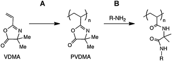 Schematic showing (A) polymerization of 2-vinyl-4,4-dimethylazlactone (VDMA) to yield poly(2-vinyl-4,4-dimethylazlactone) (PVDMA), and (B) the post-polymerization reaction of pendant azlactone functionality with a nucleophilic species (here, a primary amine) to yield a side-chain functionalized poly(acrylamide)-type polymer.