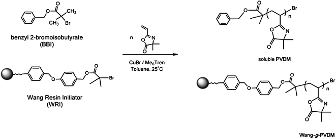 Synthesis of PVDMA using ATRP and a Wang resin functionalized with a sacrificial initiator. Reproduced with permission from ref. 30. Copyright 2006 John Wiley and Sons.