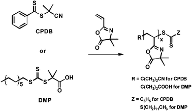 Synthesis of PVDMA by RAFT. Images re-drawn from ref. 13. Copyright 2009 American Chemical Society.