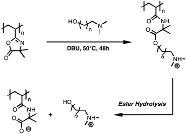 Synthesis and hydrolysis of ‘charge-shifting’ cationic polymers by reaction of pendant azlactone functionality of PVDMA with a tertiary amine containing hydroxyl functionality. The resulting amide/ester linker in the side chain of the polymer hydrolyzes in aqueous media to release amine functionality and unmask anionic carboxylate functionality. Adapted with permission from ref. 36. Copyright 2010 Elsevier.