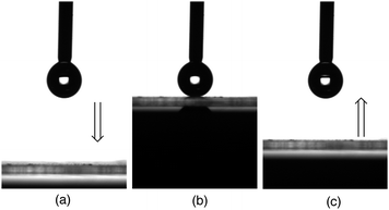 
          CCD (Charge Coupled Device) camera images of the water droplets: (a) water droplet which adhered in the needle tip (process before adhesion of the water droplet on the modified glass surface); (b) water droplet on the modified glass surface; and (c) the pull-up process of the needle from the modified glass surface.