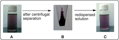 RF–(PDE-100)x–(ACA)y–RF/gold nanocomposites in 1,2-dichloroethane solutions.