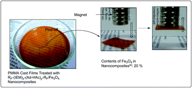 Photographs of the PMMA film treated with RF–(IEM)x–(Ad-HAc)y–RF/Fe3O4 nanocomposites: the concentration of RF–(IEM)x–(Ad-HAc)y–RF/Fe3O4nanoparticles on PMMA is 3% (m/m).