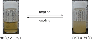 Photographs of tert-butyl alcohol solutions of RF–(AMPS)x–(Ad-HAc)y–RF/Fe3O4 [x : y = 44 : 56] (4 g dm−3) possessing the lower critical solution temperature (LCST).