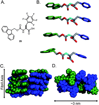 (A) Chemical structure of Fmoc-F5-Phe. (B) Proposed packing model of Fmoc-F5-Phe by Ryan et al. Hydrogens are omitted for clarity, Fmoc (green), Phe side chain (blue). (C) Proposed mode of lamination of fibrils leading to fibers, green and blue indicate individual fibrils. (D) Proposed mode of fiber formation, green and blue indicate individual fibrils.