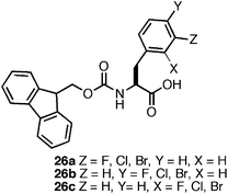 Chemical structure of monohalogenated Fmoc-Phe derivatives.