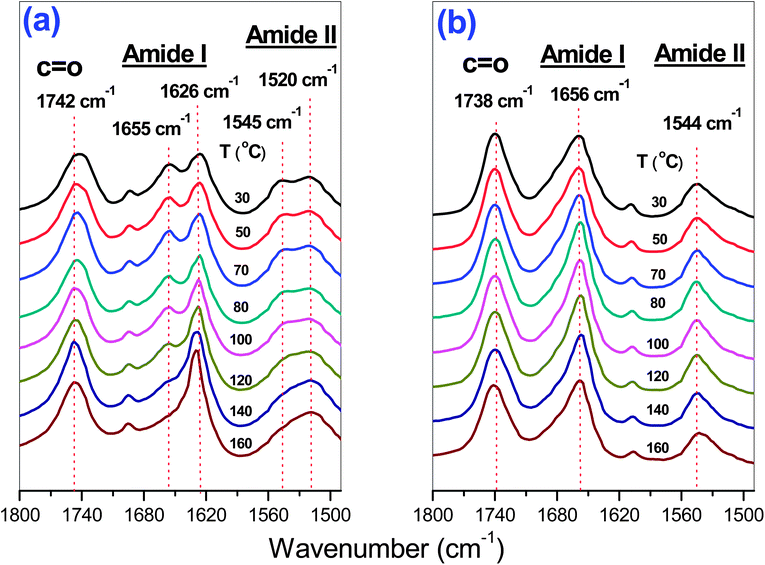 
            FTIR spectra of (a) PPLG15 species and (b) PPLG15-g-POSS species at different temperatures.