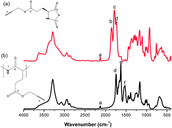 
            FTIR spectra of (a) PLG-NCA and (b) PPLG5.