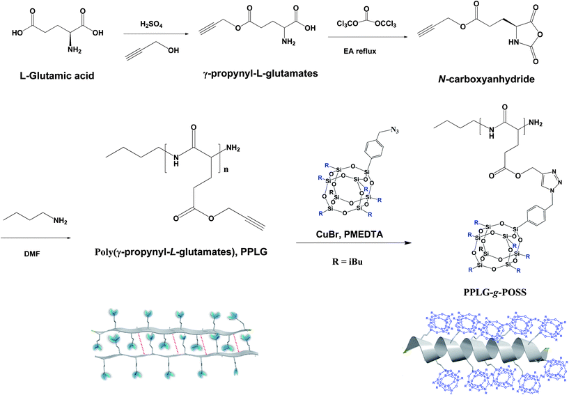 Synthesis of PPLG-g-POSS copolymers.