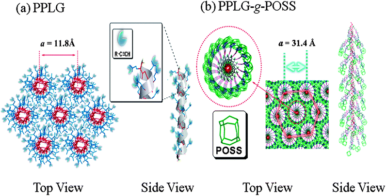 
            Self-assembly structure of (a) PPLG and (b) PPLG-g-POSS.