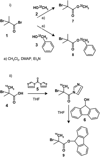 Synthesis of 14C-radiolabelled ATRPinitiators: i) reaction with 14C-labelled primary alcohols and ii) reaction of 14C-labelled 2-bromoisobutyric acid with 9-hydroxyfluorene.