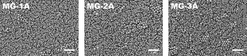 
            SEM images of nanogels MG-1A, MG-2A and MG-3A dropcast from cyclohexane dispersions.
