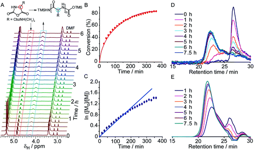 (A) 1H NMR spectra (d7-DMF) taken every 15 min over a 6 h period showing decrease in the intensity of the Lys NCA methineproton resonance (δH 4.8 ppm) over the course of the polymerization. (B) Monomer conversion versus time and (C) plot of ln([Mo]/[M]) versus time calculated from NMR signal integration. (D) GPC UV (λ = 260 nm) chromatograms showing the reduction of the Lys NCA absorbance at 27 min and the formation of PZLL at ca. 22 min over time. (E) GPCRIchromatograms showing the formation of PZLL over time.