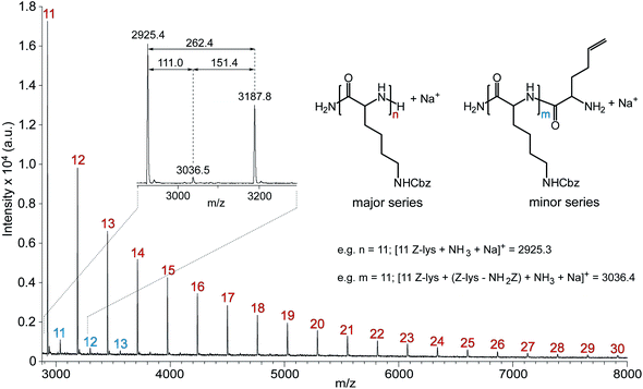 MALDI ToF MSspectrum of PZLL prepared via HMDS-mediated polymerisation recorded in linear/positive mode using α-CHCA/NaI. The numbers on the MSspectrum denote the number of repeating units of PZLL (repeat unit = 262.3 m/z); Inset shows expanded section of MSspectrum complete with peak m/z values and m/z differences.