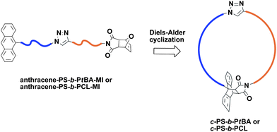Preparation of cyclic block copolymers via sequential CuAAC and Diels–Alder click reactions.