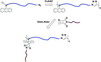 Synthesis of regular graft copolymers via sequential CuAAC–Diels–Alder click reactions.