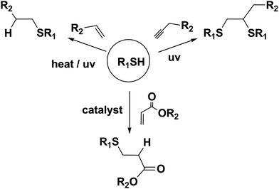 Commonly used thiol-ene and thiol-yne reactions.