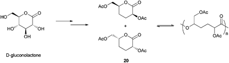 ROP of a carbohydrate derived lactone.