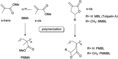 Polymerization of polar vinyl monomers.