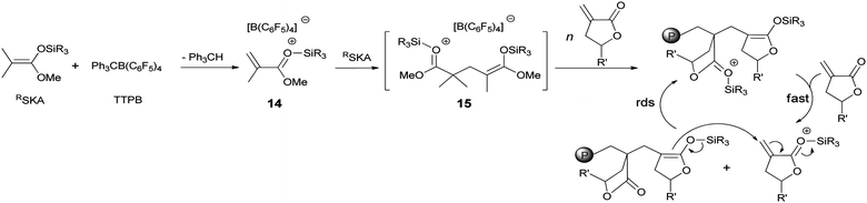 Proposed mechanism for the polymerization of (M)MBL with ambiphilic silicon propagators (R′ = H or CH3).