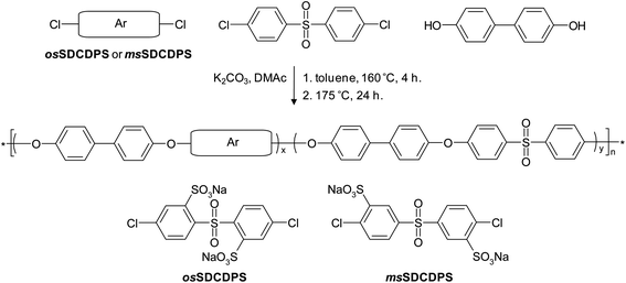 Synthesis of osSPAES and msSPAES copolymers via K2CO3-mediated polycondensations involving osSDCDPS and msSDCDPS, respectively.