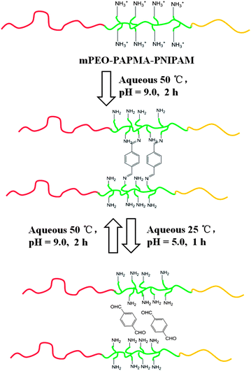 Reversible response of the CCS polymer to temperature and pH.75