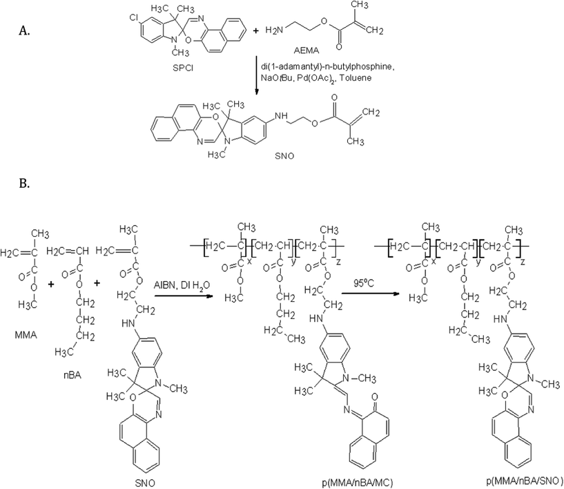 A. Synthesis of 2-[(1,3,3-trimethyl-1,3-dihydrospiro[indole-2,3′-naphtho[2,1-b][1,4]oxazin]-5-yl)amino]ethyl 2-methylacrylate (SNO) monomer. B. Copolymerization of methylmethacrylate (MMA), n-butyl acrylate (nBA), and 2-[(1,3,3-trimethyl-1,3-dihydrospiro[indole-2,3′-naphtho[2,1-b][1, 4]oxazin]-5-yl)amino]ethyl-2-methylacrylate (SNO) monomers in 0.07/0.05/0.0013 molar ratios resulted in pink color open ring poly(methyl methacrylate/n-butylacrylate/2-{[1,3,3-trimethyl-2-({[(1-Z)-2-oxonaphthalen-1(2-H)-ylidene]amino}methylene)-2,3-dihydro-1-H-indol-5-yl]amino}ethyl-2-methylacrylate)p(MMA/nBA/MC) copolymer, which was then heated at 95 °C for 5 min to obtain colorless films.