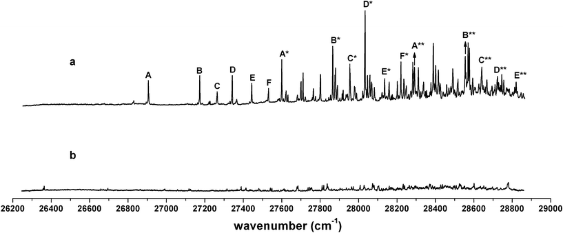 The LIF spectra of individual isomers of 4-methylcyclohexoxy: (a) trans-4-methylcyclohexoxy, (b) cis-4-methylcyclohexoxy.