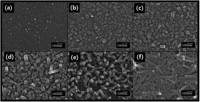 
          FE-SEM images of the 50 nm thick ZnPc films (a) as-deposited and spray-treated using actone/water mixed solvents at acetone contents (vol%) of (b) 50%, (c) 70%, (d) 86%, (e) 94% and (f) 100%.