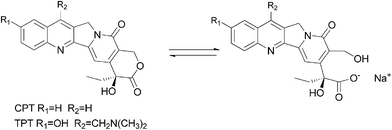 Camptothecins hydrolysis to water soluble sodium salt.